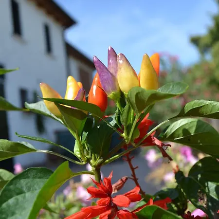 Country house Bucaneve Rovolon